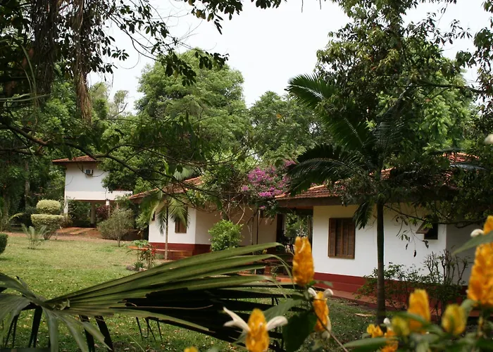 Orquideas Hotel & Cabanas